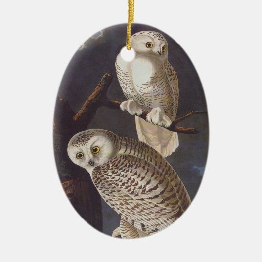 Snowy White Owl Oval Christmas Ornament (Voorkant)