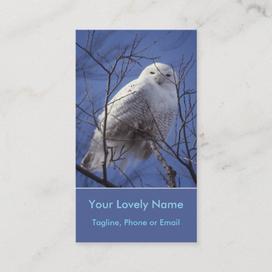 Snowy White Owl, White Arctic Bird, Sapphire Sky Visitekaartje (Voorkant)