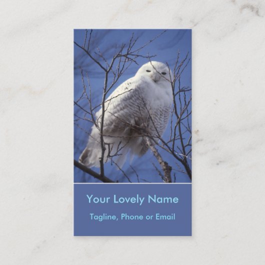 Snowy White Owl, White Arctic Bird, Sapphire Sky Visitekaartje (Voorkant)