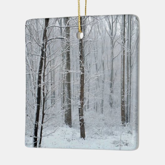 Snowy White Poplar Forest Keramisch Ornament (Links)