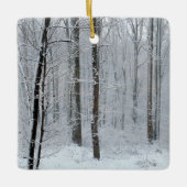 Snowy White Poplar Forest Keramisch Ornament (Voorkant)