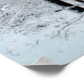 Snowy White Poplar Forest Poster (Hoek)