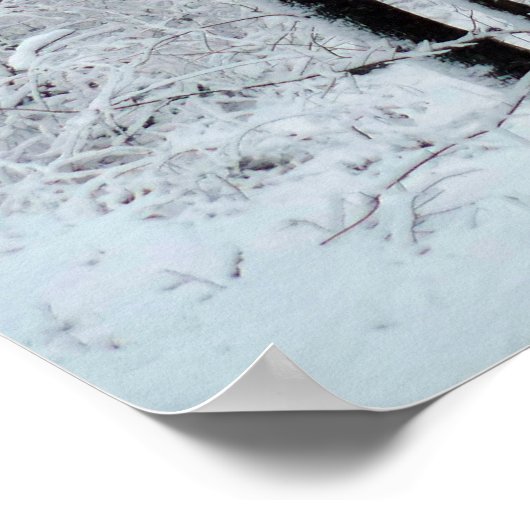 Snowy White Poplar Forest Poster (Hoek)