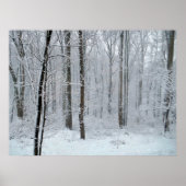 Snowy White Poplar Forest Poster (Voorkant)