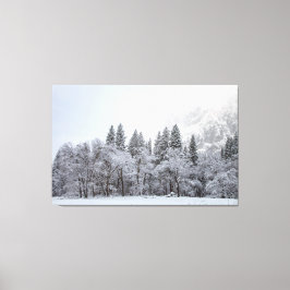 Snowy Winter Canvas Afdruk