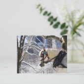 Snowy Winter Carriage Horse in Central Park Briefkaart (Staand voorkant)