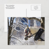 Snowy Winter Carriage Horse in Central Park Briefkaart (Voorkant / Achterkant)