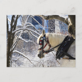 Snowy Winter Carriage Horse in Central Park Briefkaart