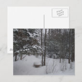 Snowy Winter Day Briefkaart (Voorkant / Achterkant)