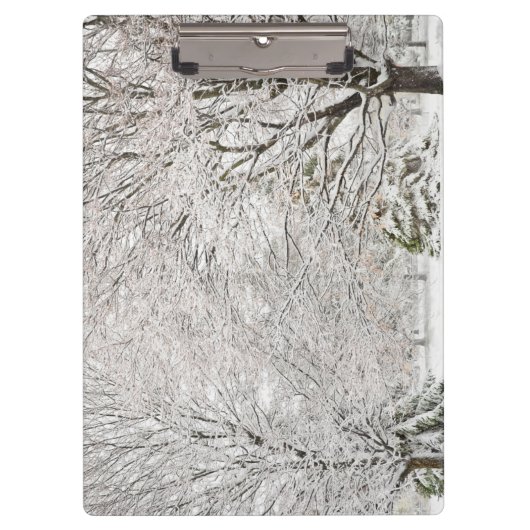 Snowy Winter Forest Klembord (Voorkant)