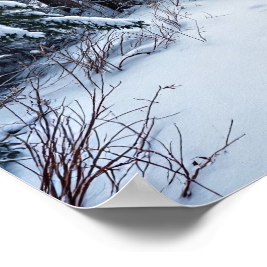 Snowy Winter Forest Path With Footprints Hiking Poster (Hoek)