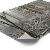 Snowy Winter Forest Poster (Hoek)