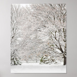 Snowy Winter Forest Poster