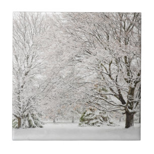 Snowy Winter Forest Tegeltje