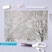 Snowy Winter Forest Tissuepapier (Craft)
