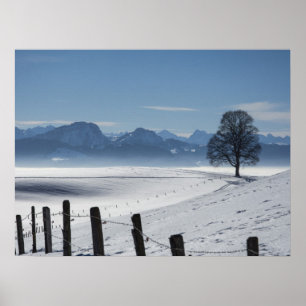 Snowy Winter Landscape Foto Poster