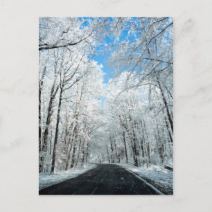 Snowy Winter Road Scene Briefkaart