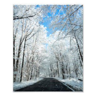 Snowy Winter Road Scene Foto Afdruk