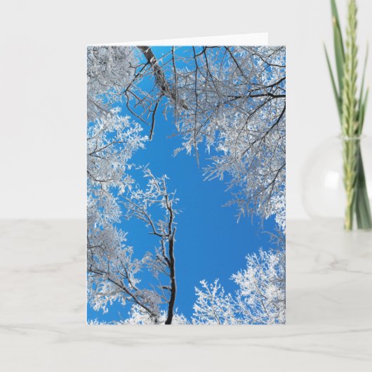 Snowy Winter Scene Feestdagen Kaart (Voorkant)