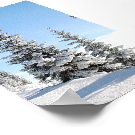 Snowy Winter Scene met kerstbomen Poster (Hoek)