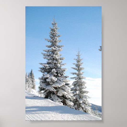 Snowy Winter Scene met kerstbomen Poster (Voorkant)