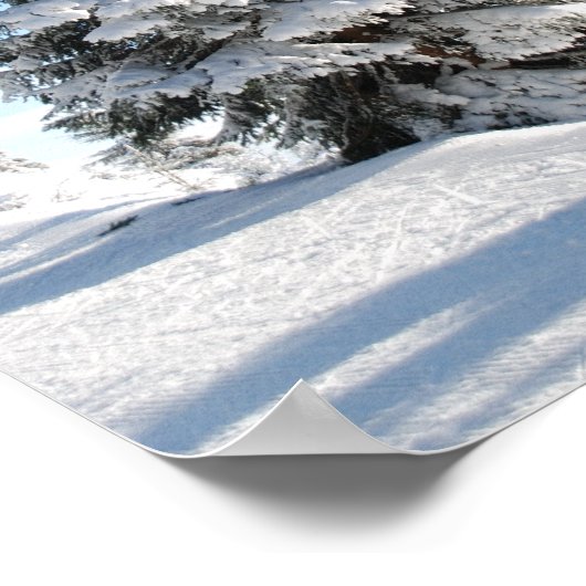 Snowy Winter Scene met kerstbomen Poster (Hoek)