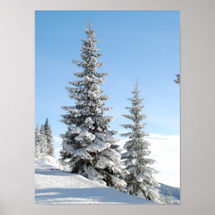 Snowy Winter Scene met kerstbomen Poster
