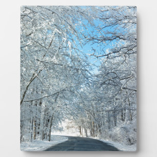 Snowy Winter Trees Fotoplaat