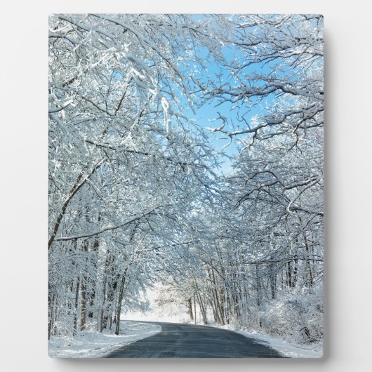 Snowy Winter Trees Fotoplaat (Voorkant)