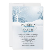 Snowy Winter Wedding - ijsblauw