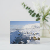 Snowy Winterland Briefkaart (Staand voorkant)