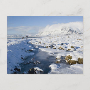 Snowy Winterland Briefkaart