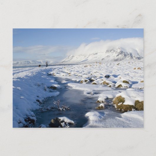 Snowy Winterland Briefkaart (Voorkant)
