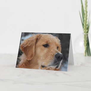 Snowy Wyatt-kaart Kaart