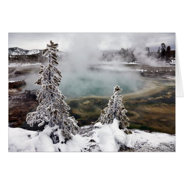 Snowy Yellowstone (Voorkant Horizontaal)