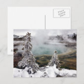 Snowy Yellowstone Briefkaart (Voorkant / Achterkant)