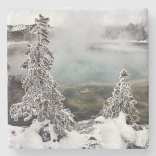 Snowy Yellowstone Stenen Onderzetter