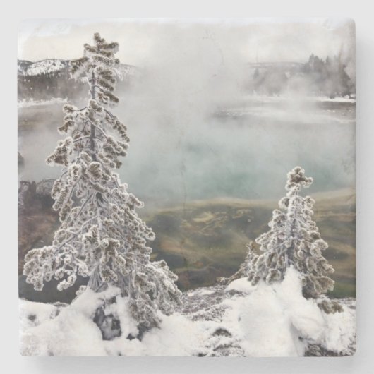 Snowy Yellowstone Stenen Onderzetter (Voorkant)