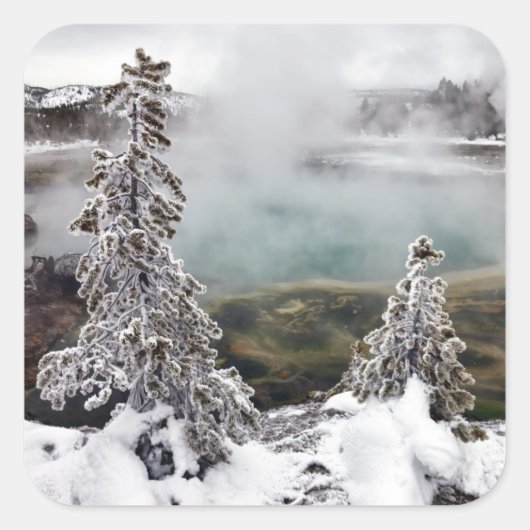Snowy Yellowstone Vierkante Sticker (Voorkant)
