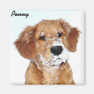 Snowy zag Penny Magnet
