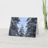 SnowyPines Bedankkaart (Voorkant)