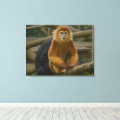 Snub-Nosed Monkey in Woodland Refuge Canvas Afdruk (Insitu (Houten vloer))