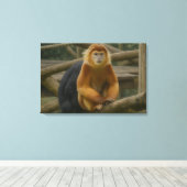 Snub-Nosed Monkey in Woodland Refuge Canvas Afdruk (Insitu (Houten vloer))