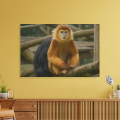 Snub-Nosed Monkey in Woodland Refuge Canvas Afdruk (Insitu (Woonkamer))