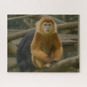 Snub-Nosed Monkey in Woodland Refuge Legpuzzel