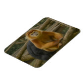 Snub-Nosed Monkey in Woodland Refuge Magneet (Linkerzijde)