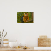 Snub-Nosed Monkey in Woodland Refuge Poster (Keuken)