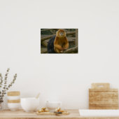Snub-Nosed Monkey in Woodland Refuge Poster (Keuken)