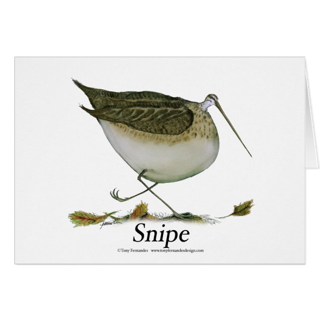 snuffelaar, tony fernandes (Voorkant Horizontaal)