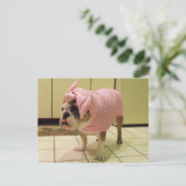 snufkostuum briefkaart (Staand voorkant)